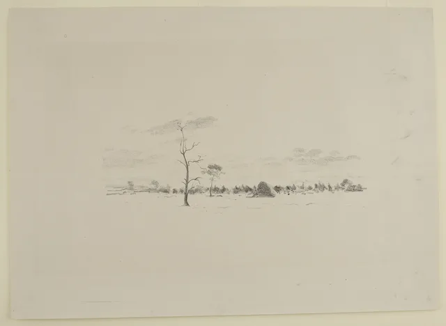 Paisagem com árvores e a meda