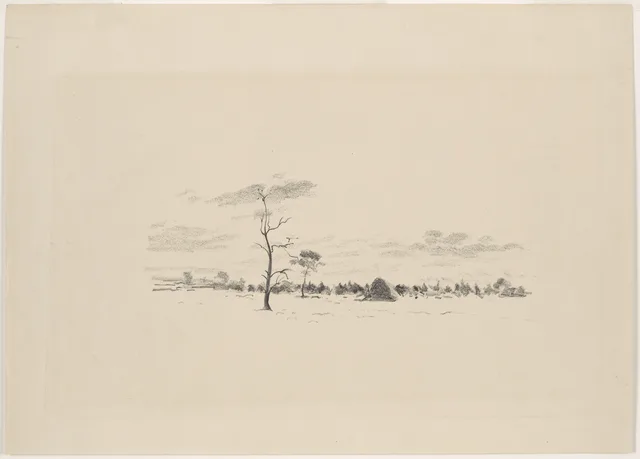 Paisagem com árvores e a meda