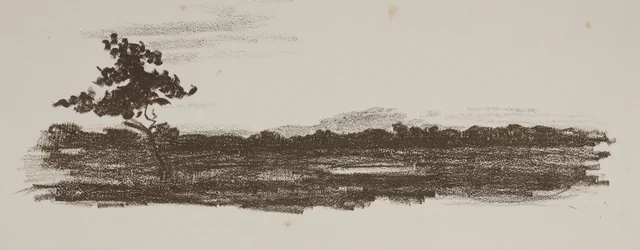 Paisagem com a árvore