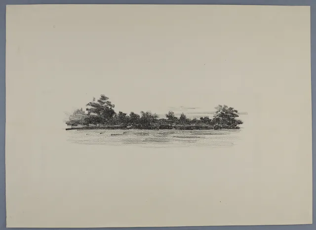 Paisagem com uma floresta no horizonte