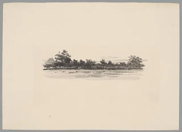 Paisagem com uma floresta no horizonte
