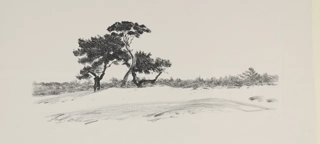 Paisagem com três pinheiros