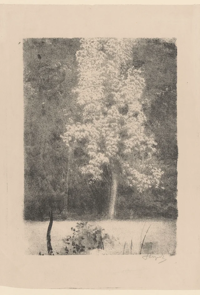 Pereira em flor, Leon Wyczółkowski