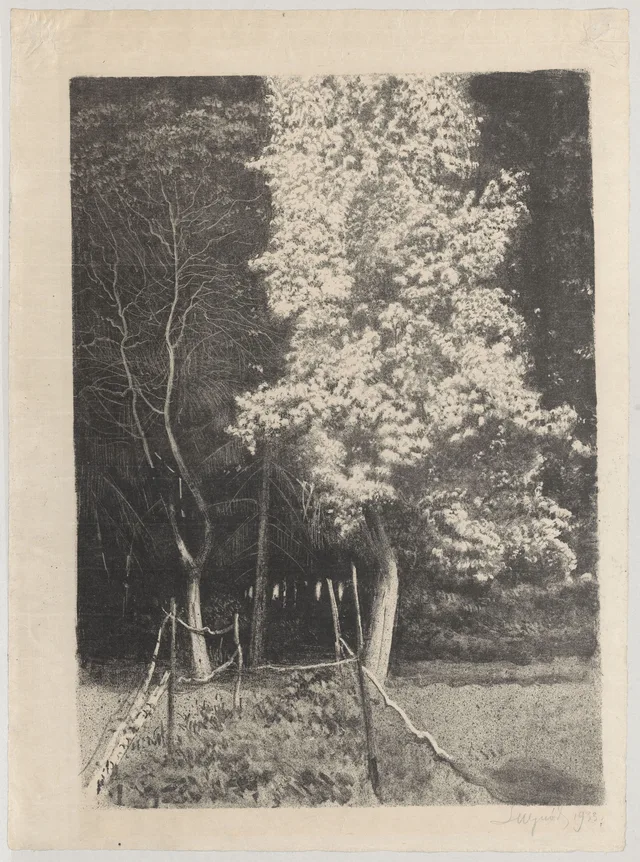 Pereira «Małgorzatka» em flor, Leon Wyczółkowski