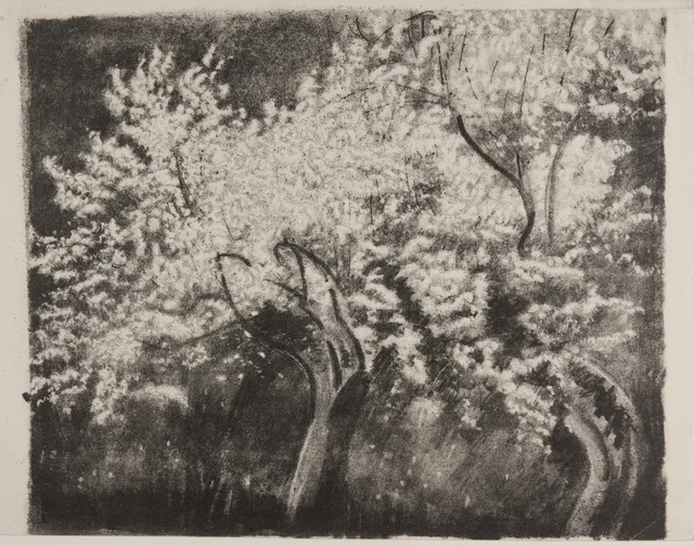 Macieiras em flor