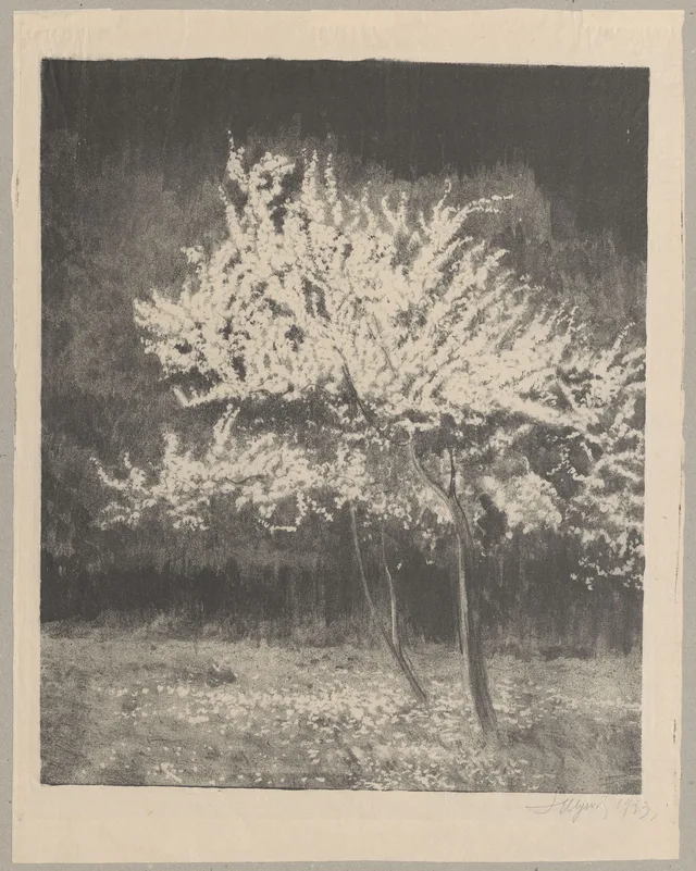 Ameixeiras em flor, Leon Wyczółkowski
