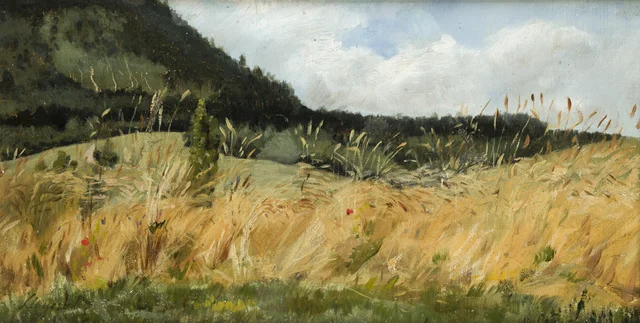 Campo de trigo