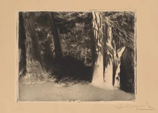 La forêt au soleil (I), Leon Wyczółkowski