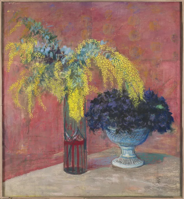 Mimosa e violetas