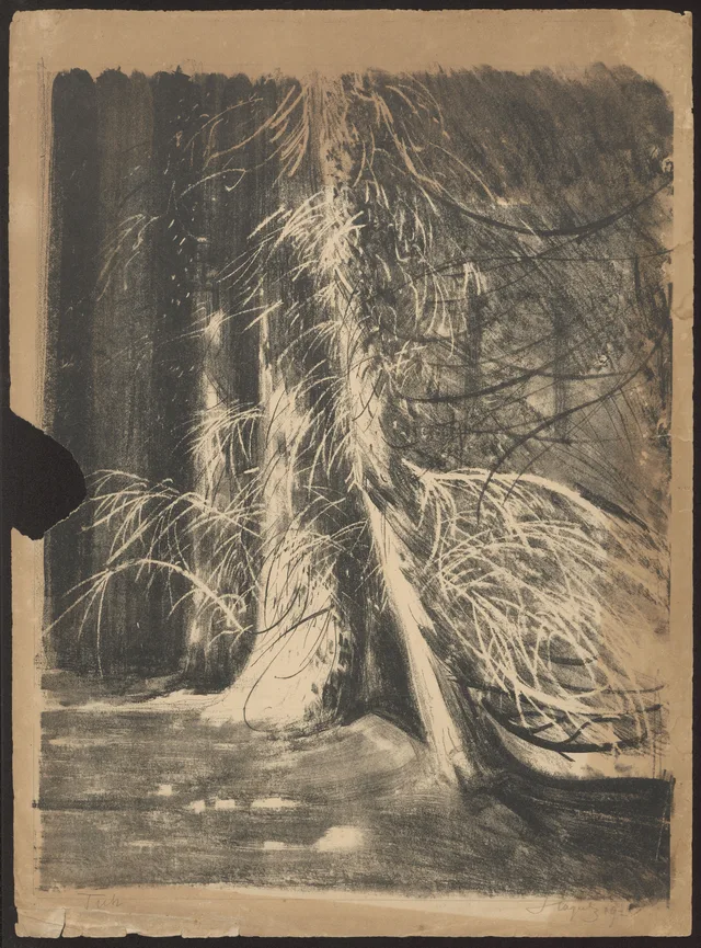 Lariços, Leon Wyczółkowski
