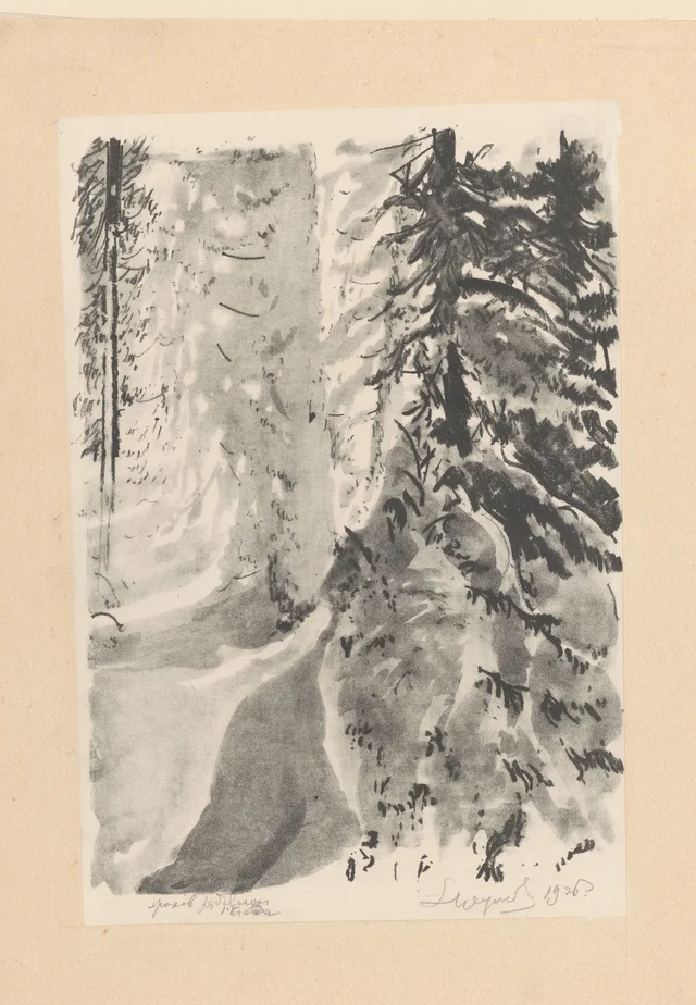 Árvores carregadas de neve