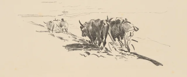 A aragem