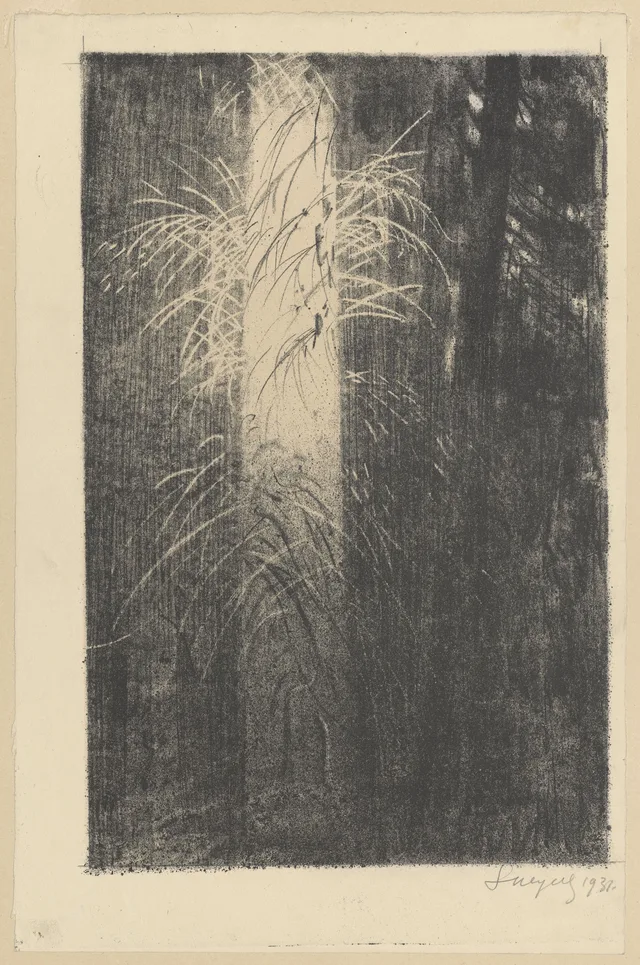 Manhã na floresta, Leon Wyczółkowski