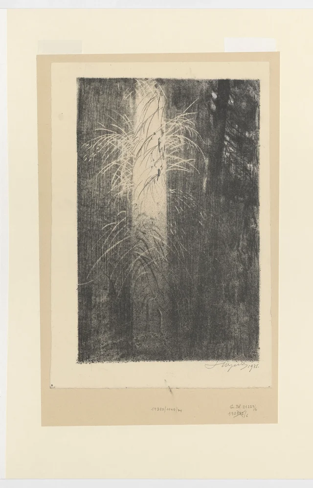 Manhã na floresta, Leon Wyczółkowski