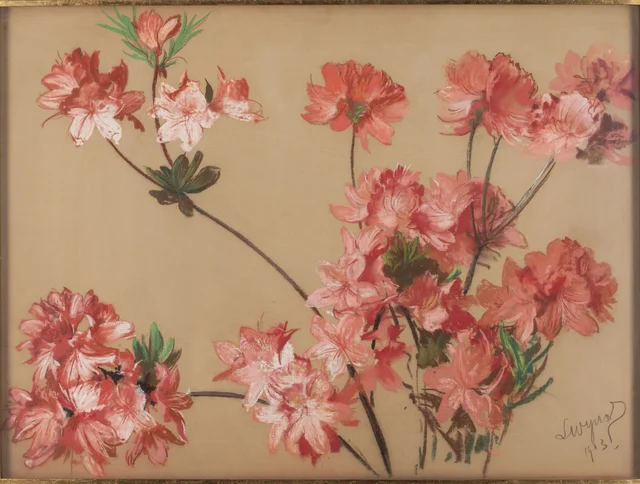 Azaleias cor-de-rosa
