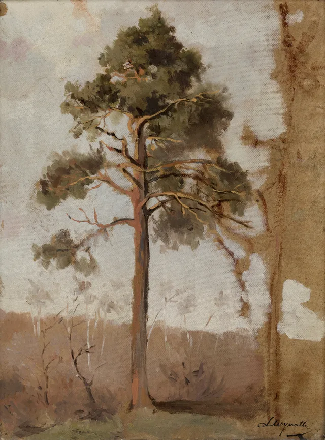 Pinheiro de Palanga