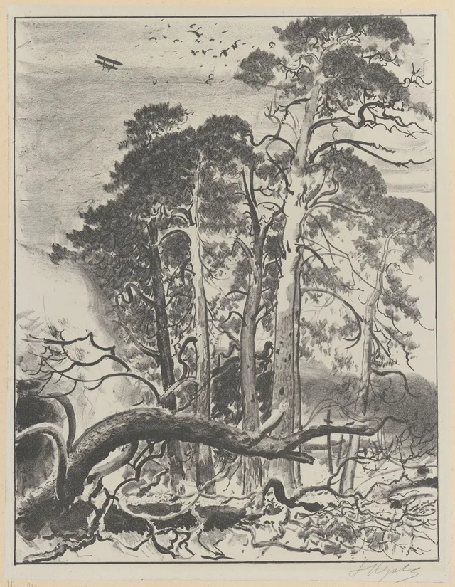 Pinheiros e cruzes (túmulos)