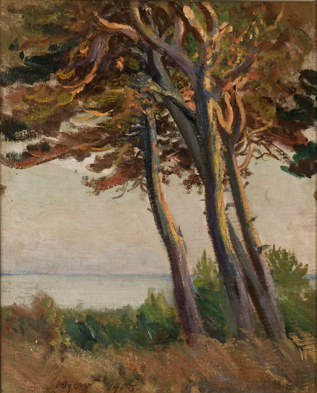 Pinheiros em Palanga