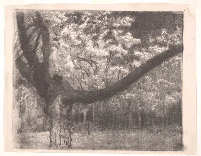 A árvore seca diante de árvores em flor, Leon Wyczółkowski