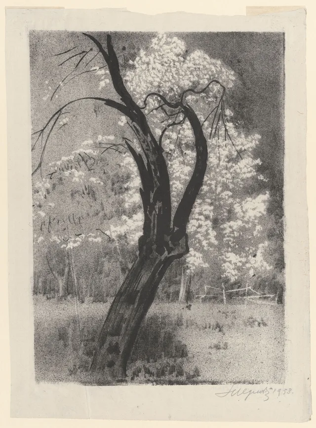 A árvore seca diante de árvores em flor, Leon Wyczółkowski