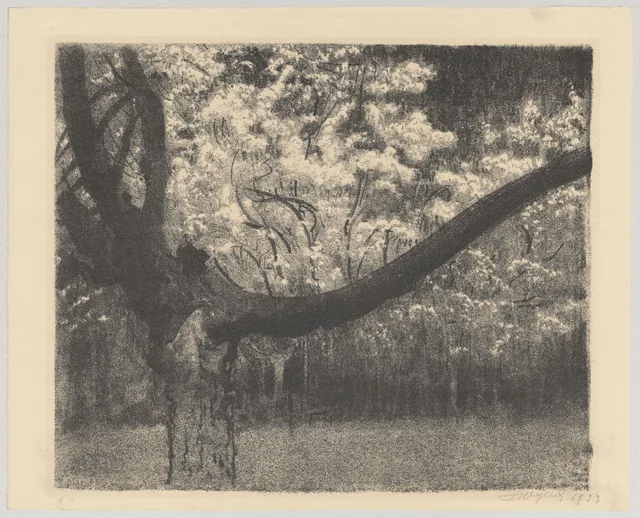 A árvore seca diante de árvores em flor, Leon Wyczółkowski