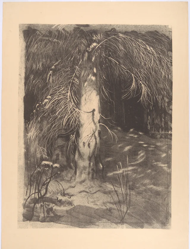 Abeto ao sol, Leon Wyczółkowski