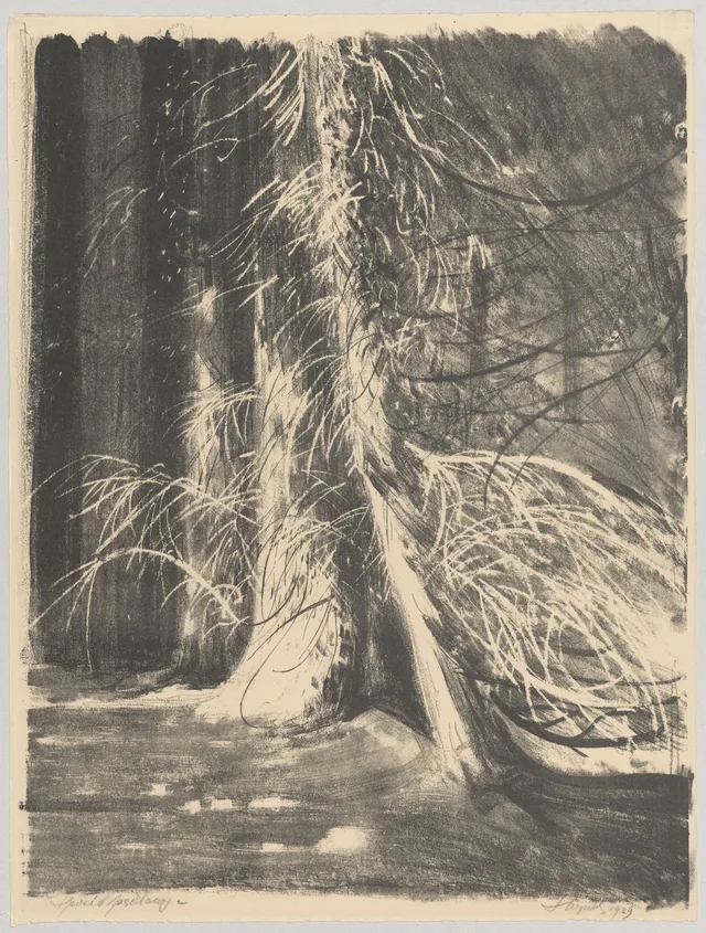 Abetos ao sol, Leon Wyczółkowski