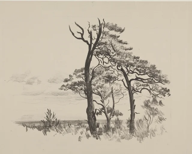 Três pinheiros de Palanga