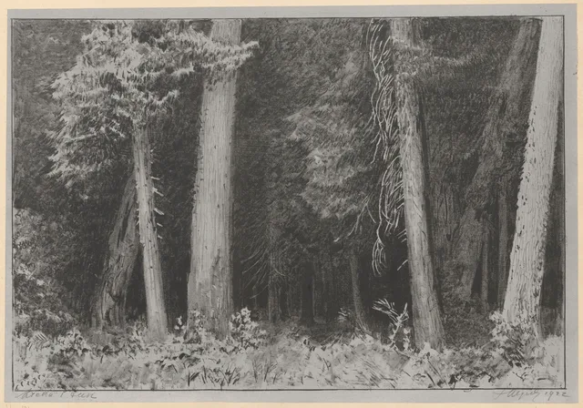Inside a forest, Leon Wyczółkowski