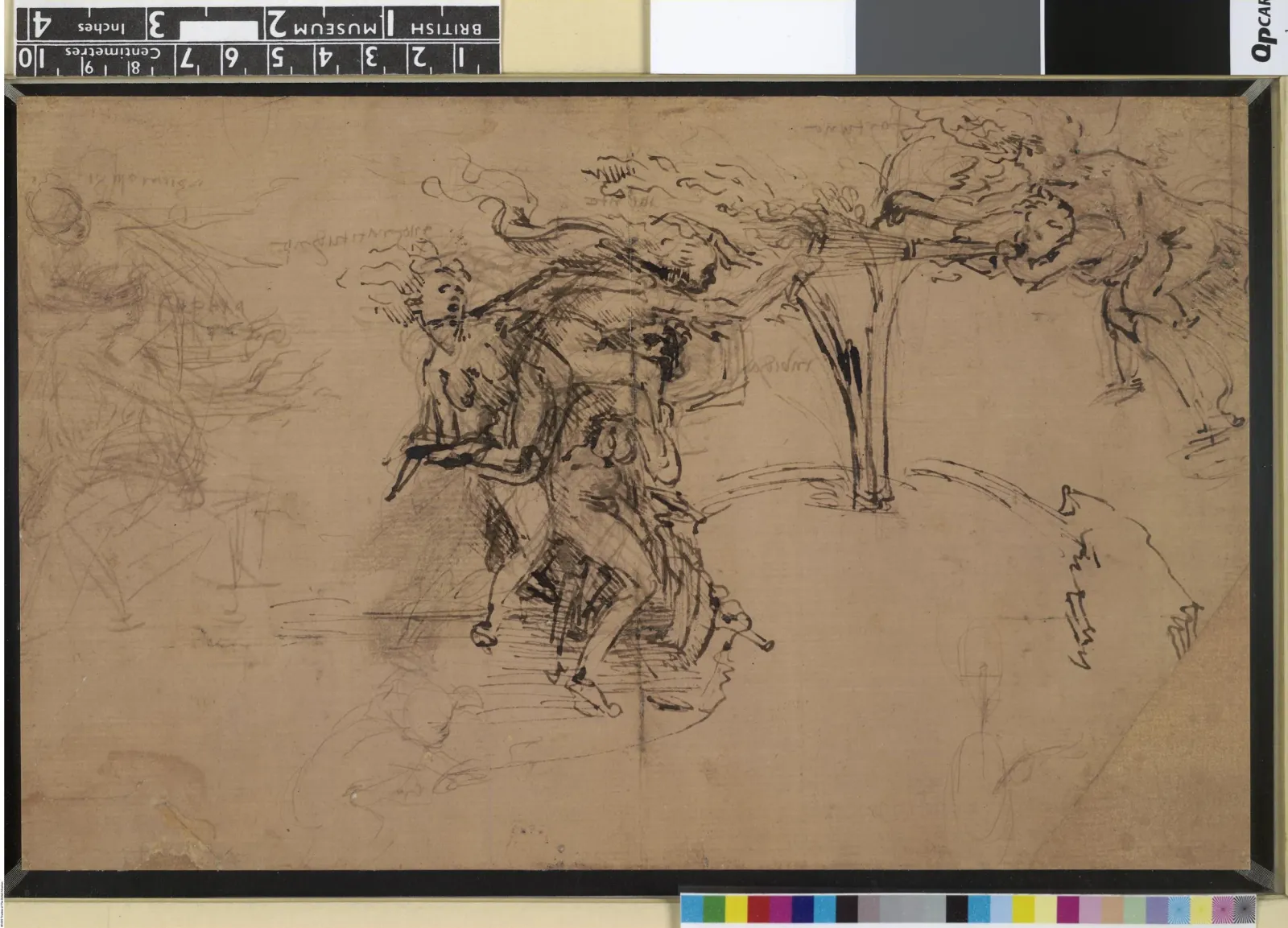 Allégorie de l'ingratitude et de l'envie, Léonard de Vinci