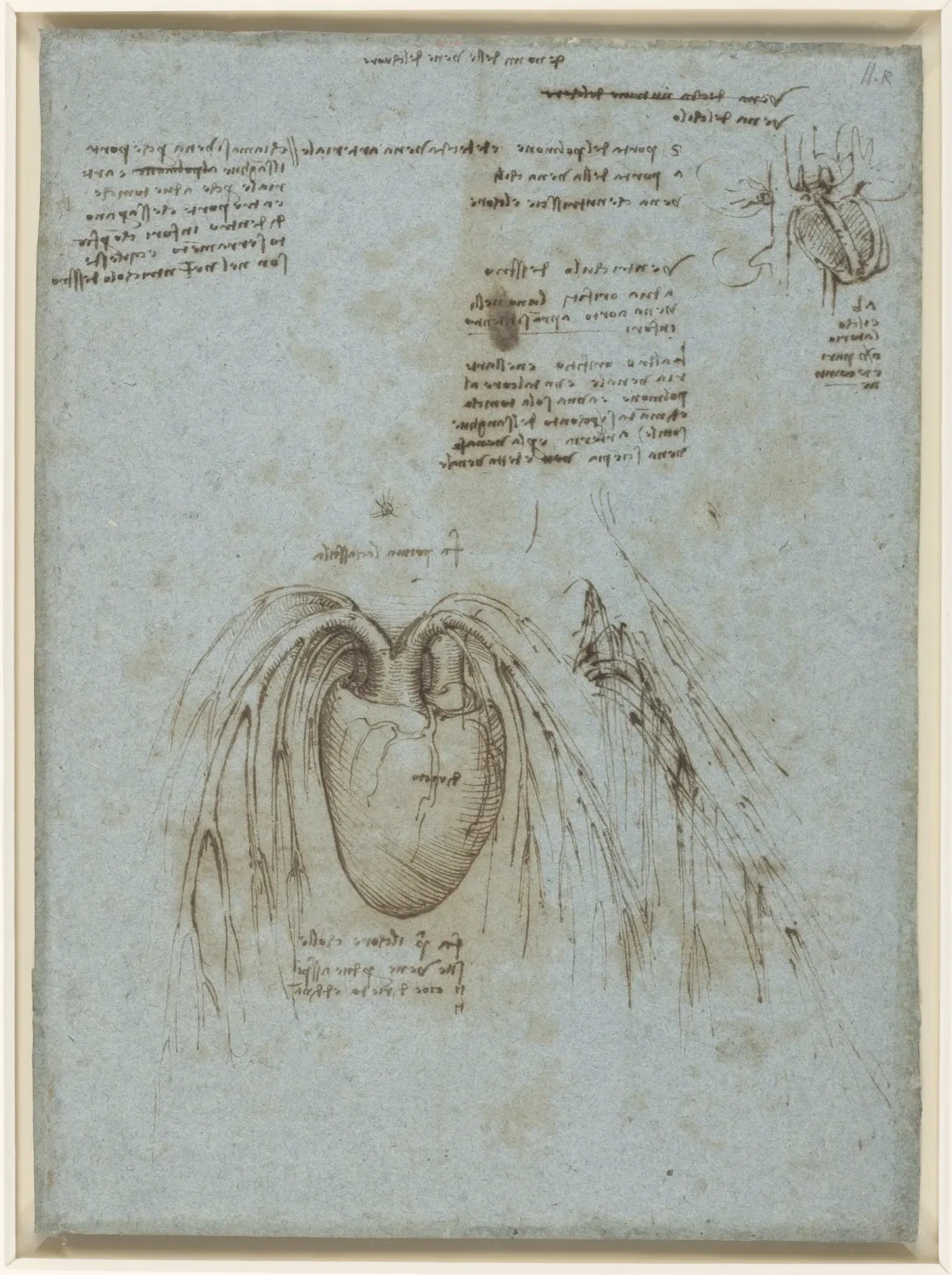 Anatomical Deawing of the Heart and its Blood Vessels, Leonardo da Vinci