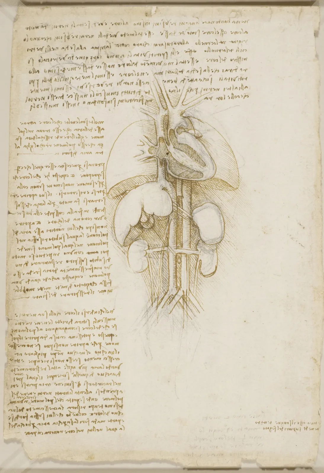 Anatomical Study of the Heart and Lungs, Leonardo da Vinci