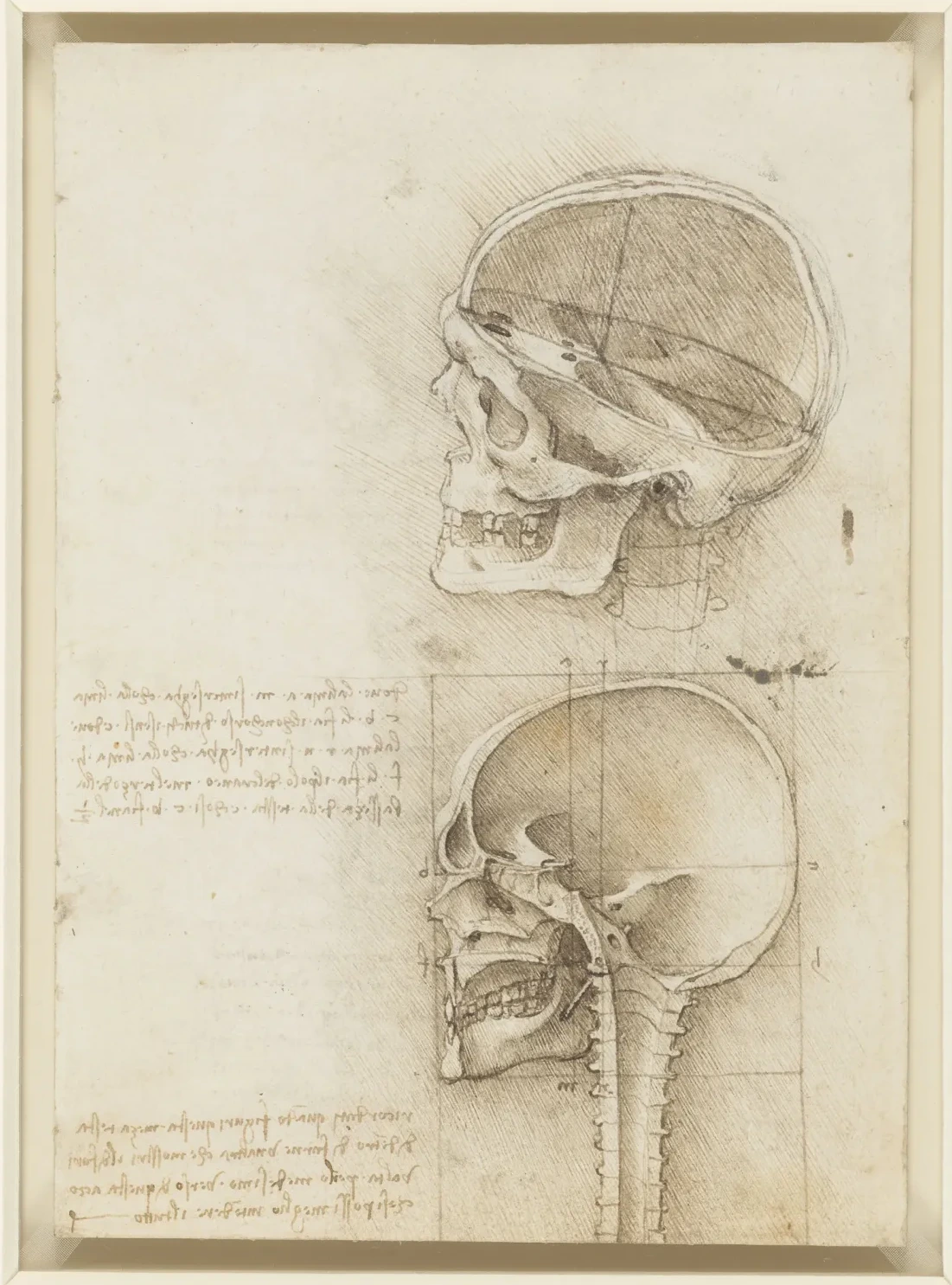 Anatomical Study of the Human Skull in Sagittal Section, Seen from the Side, Leonardo da Vinci