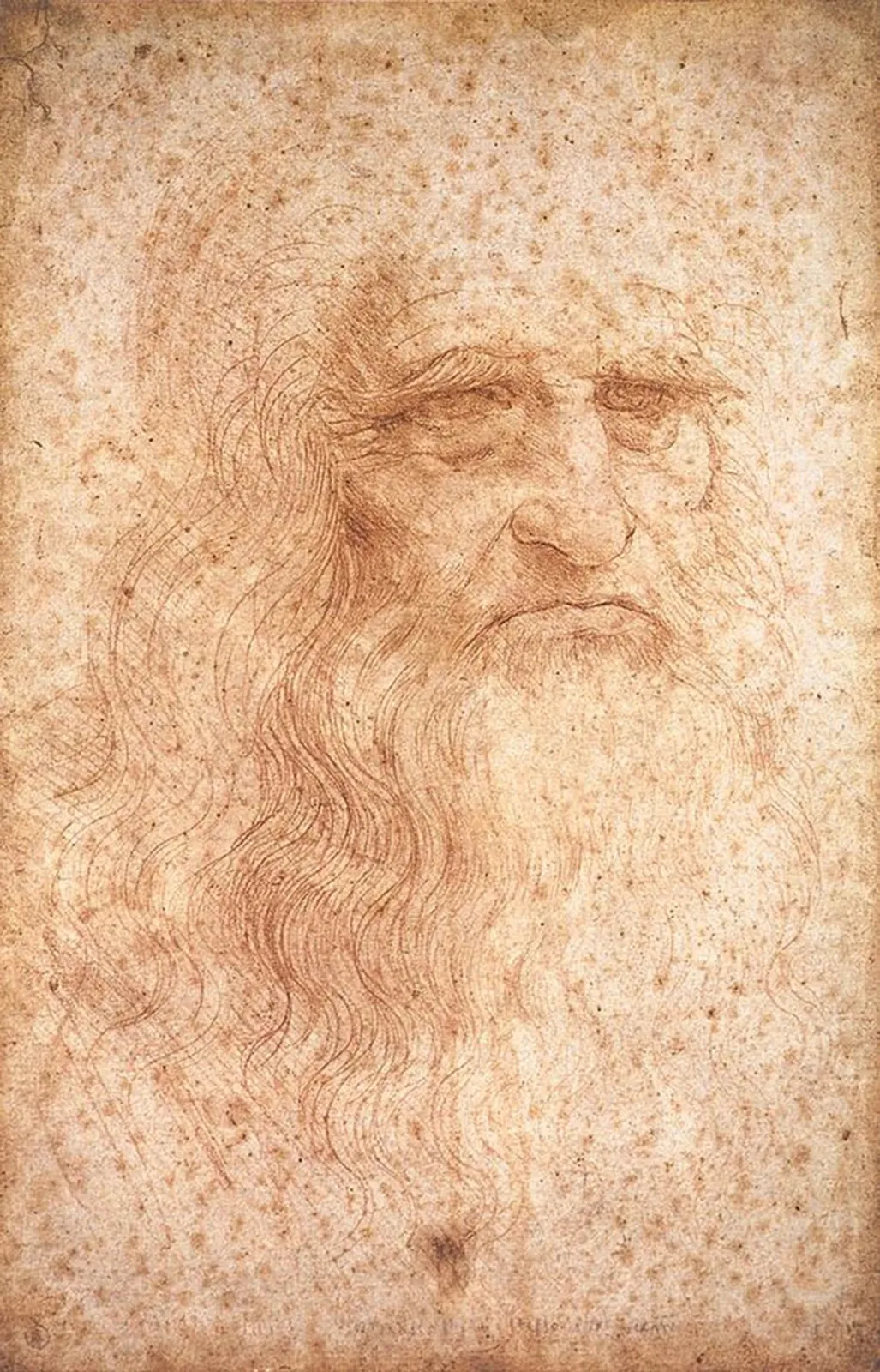 autoportrait, Leonardo da Vinci