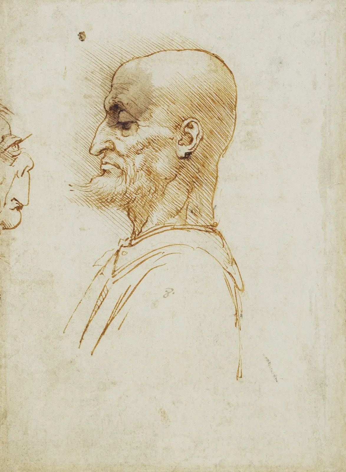 Bald Man in Profile, Leonardo da Vinci