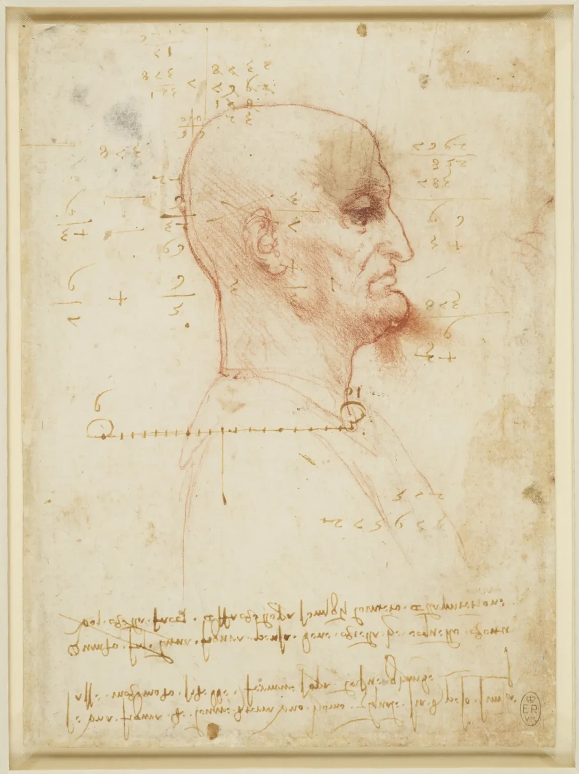 Bald Man in Profile, Leonardo da Vinci