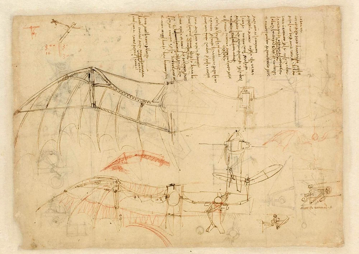 Appareil à ailes d'oiseau en partie rigides, Léonard de Vinci
