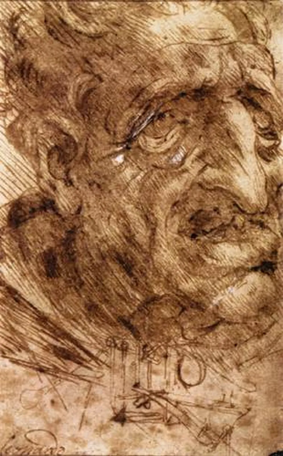 Drawing of a Grotesque Male Head and Sketch of a Flying Machine, Leonardo da Vinci