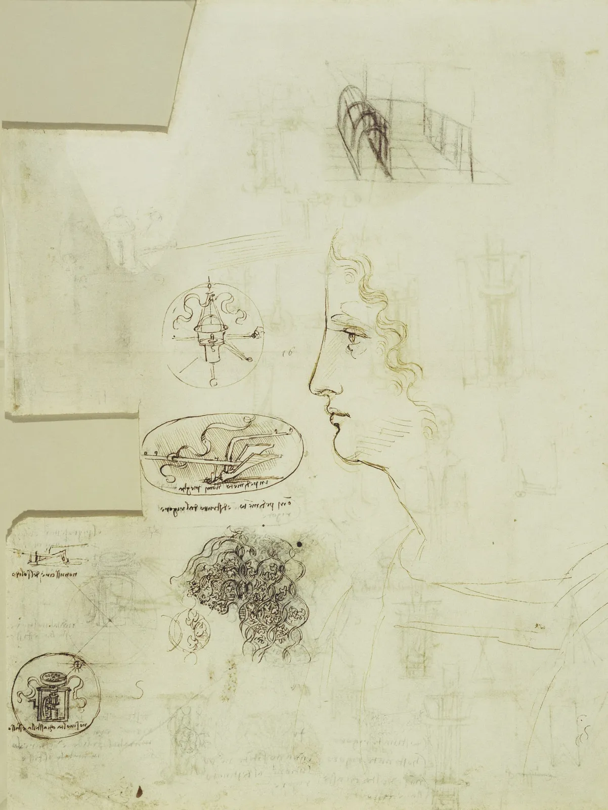 Drawings of Various Emblems (Lantern, Plough and Compass) and Profile Study of a Young Man, Leonardo da Vinci