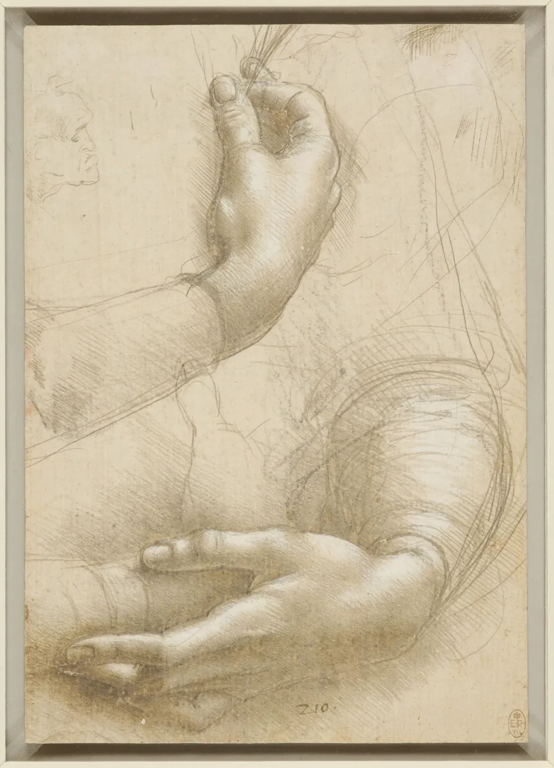 étude de mains de femme, Leonardo da Vinci