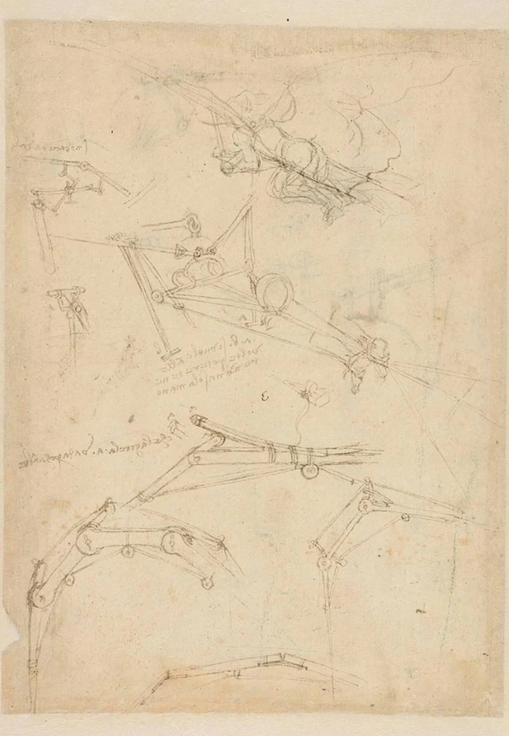 Machine volante en action, Léonard de Vinci