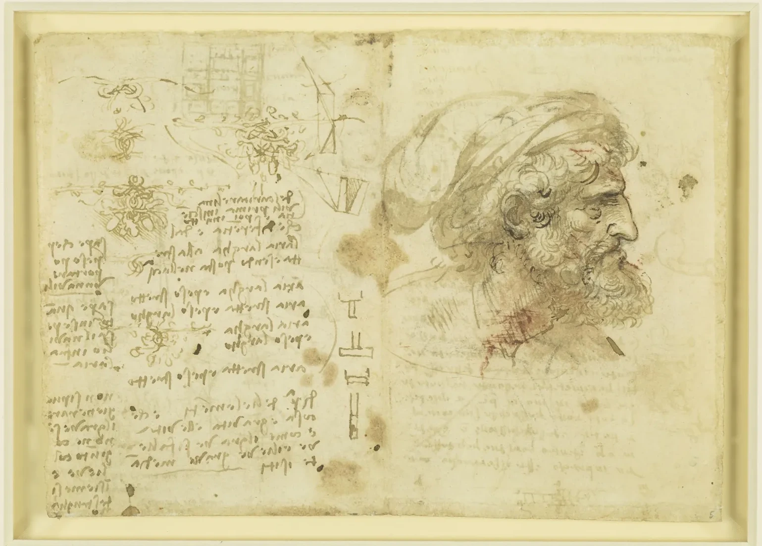 Head and Shoulders of a Bearded Man in a Turban, Leonardo da Vinci