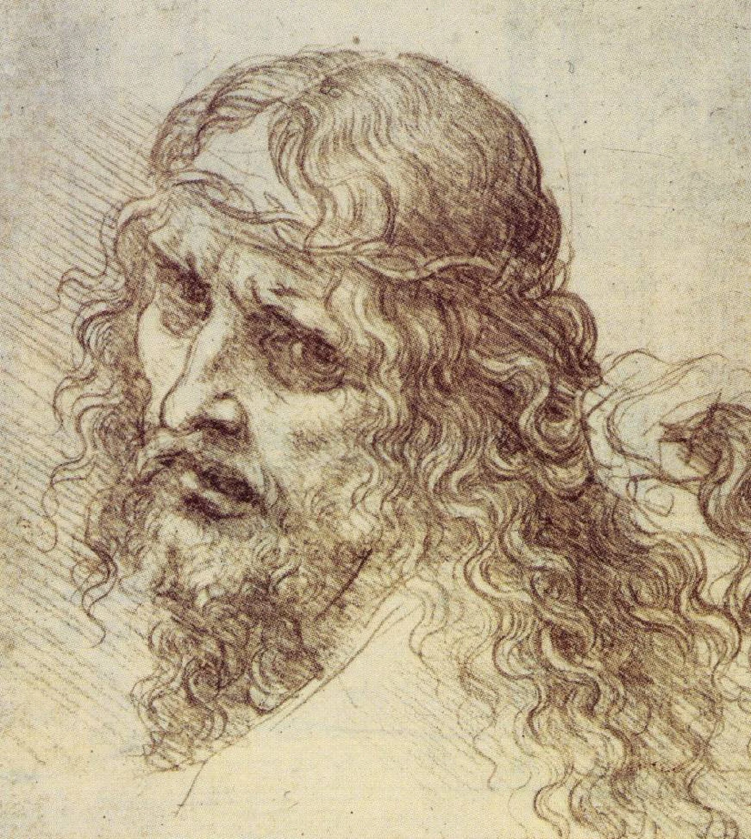 Head and Shoulders of a Christ Figure, Leonardo da Vinci