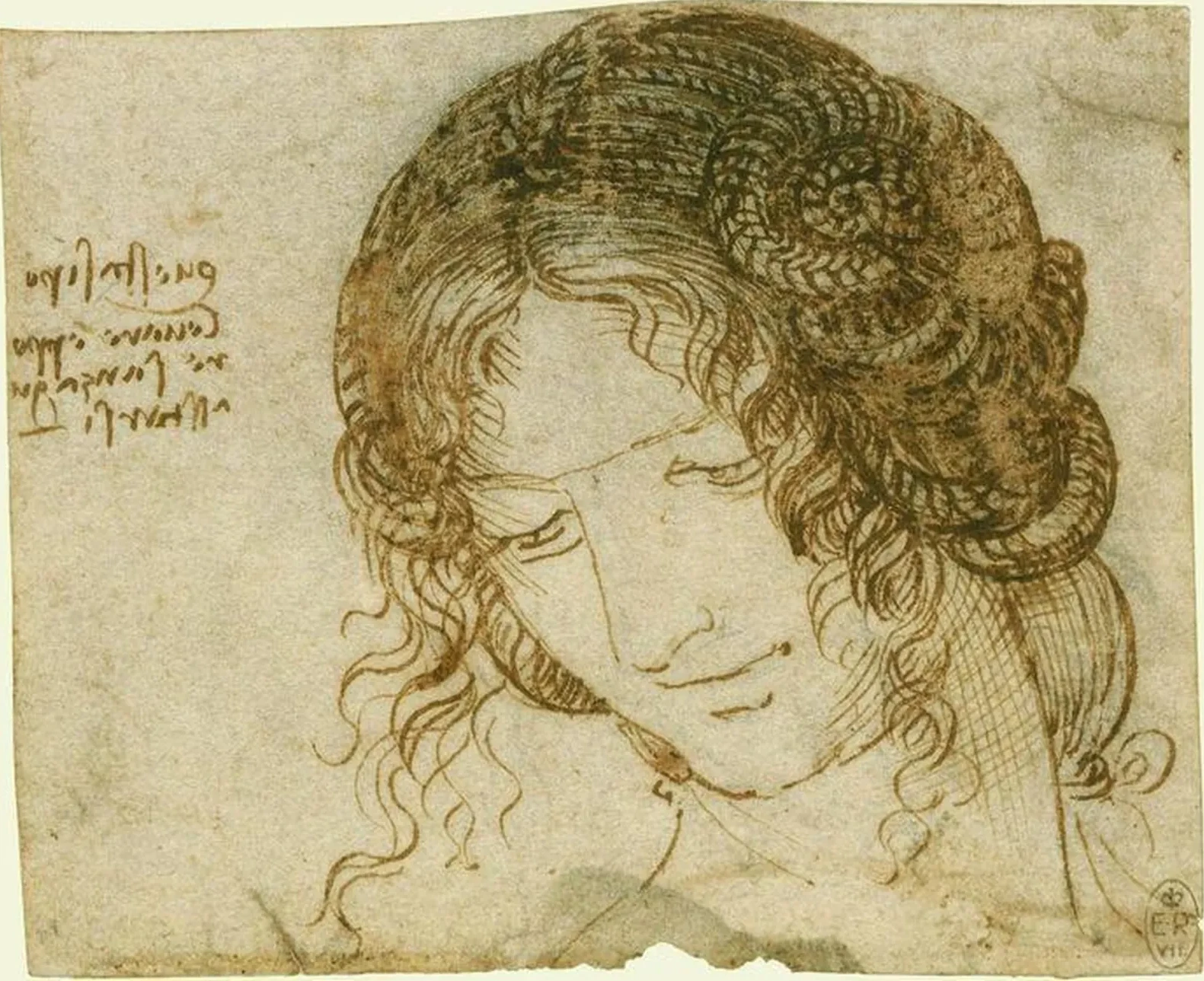 Tête de Léda, Léonard de Vinci