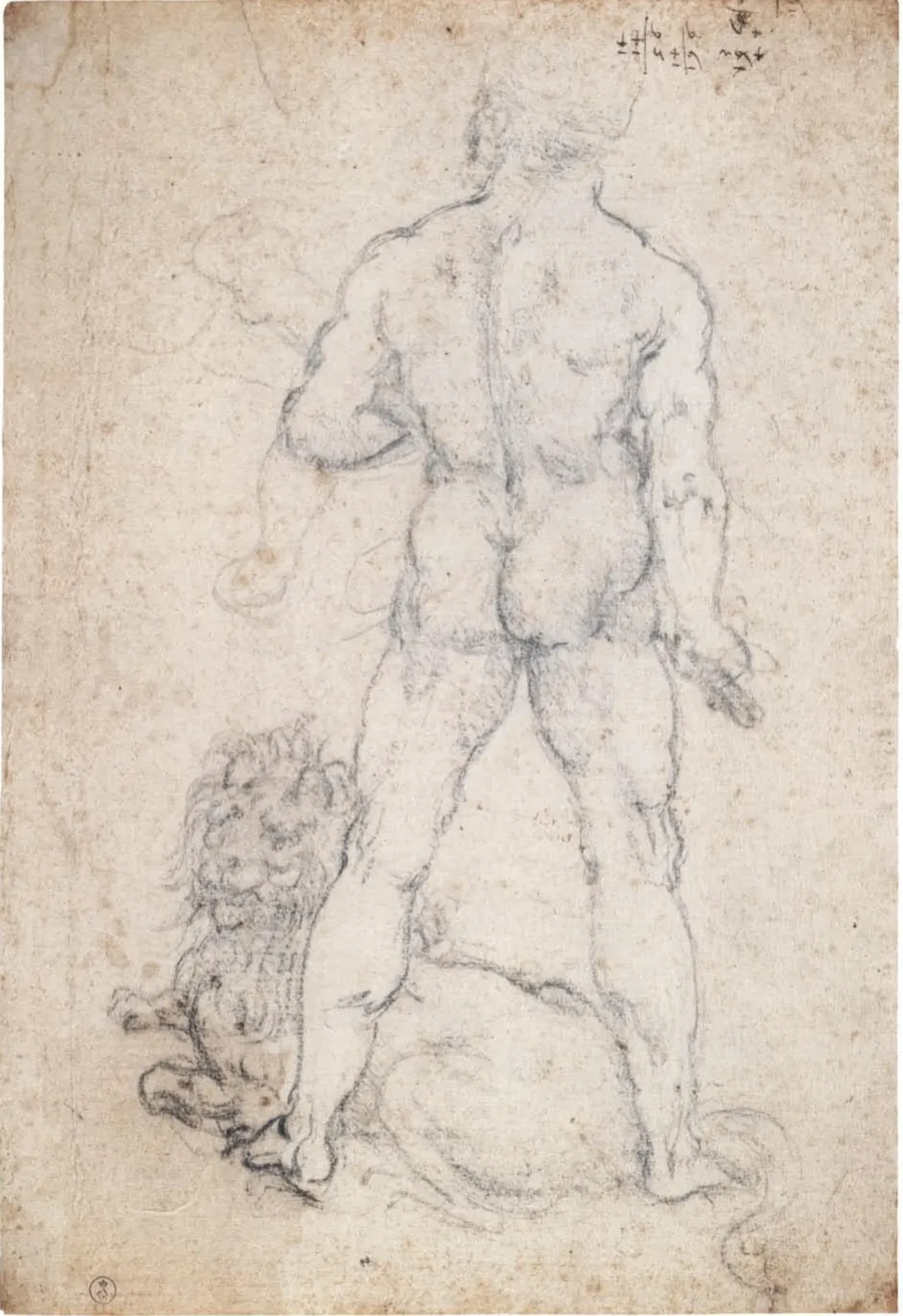 Hercules and the Nemean Lion, Leonardo da Vinci