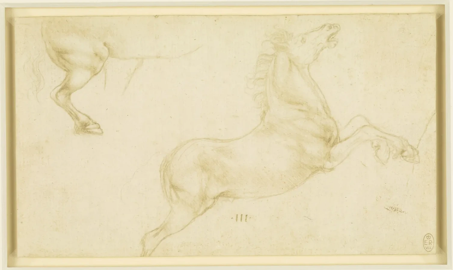 Horse Studies, Leonardo da Vinci