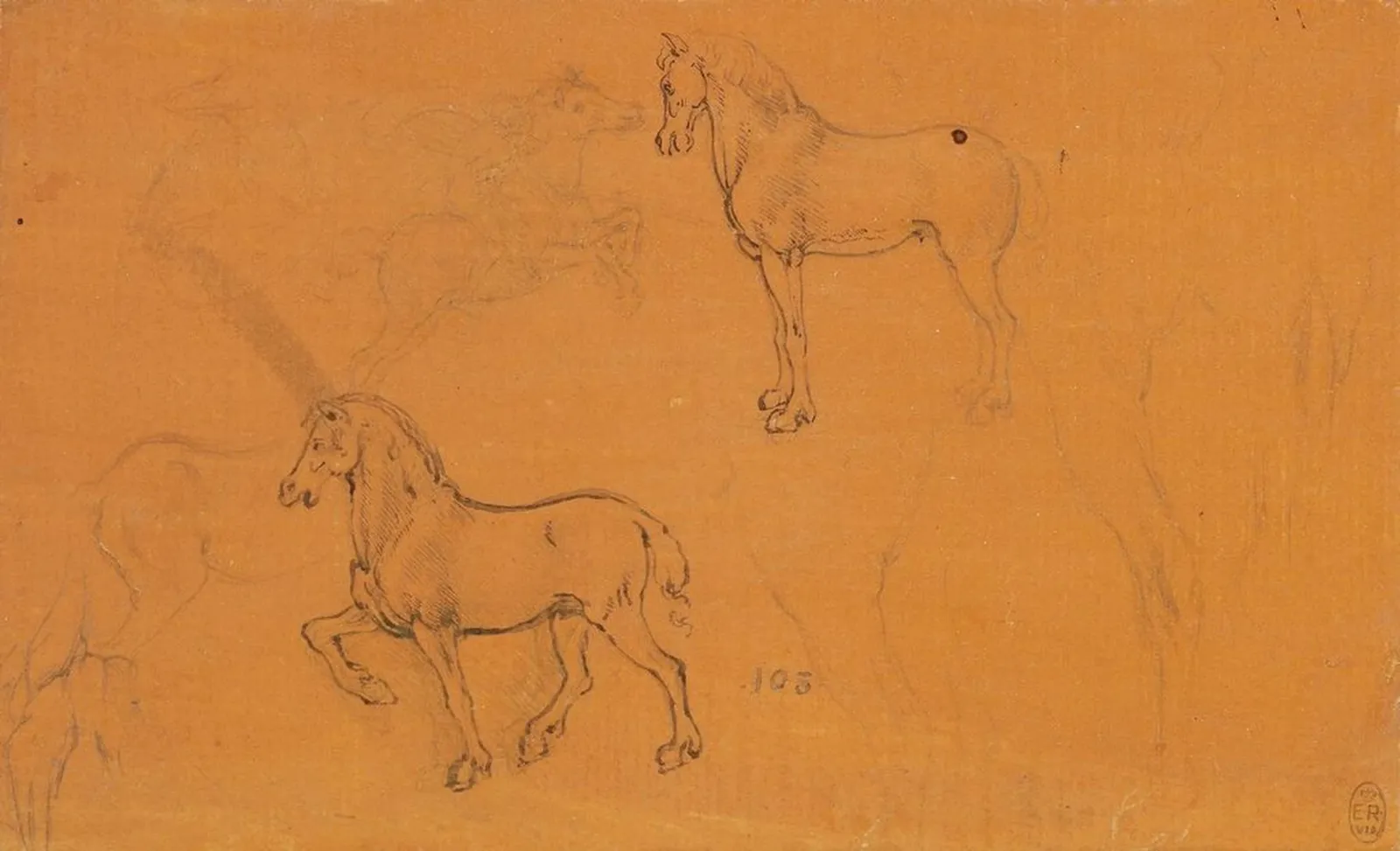 Études de cheval, Léonard de Vinci