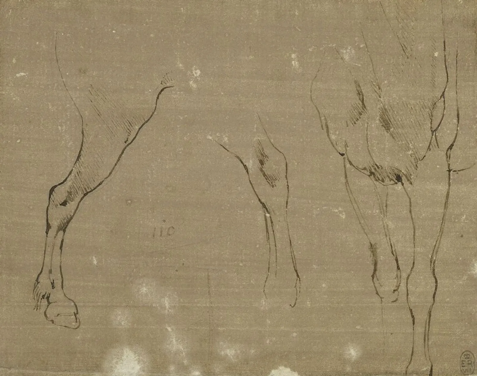 Études de cheval, Léonard de Vinci