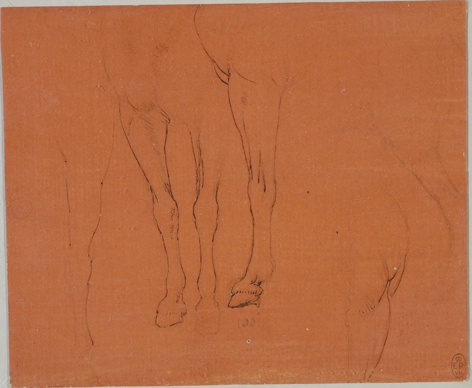 Études de cheval, Léonard de Vinci