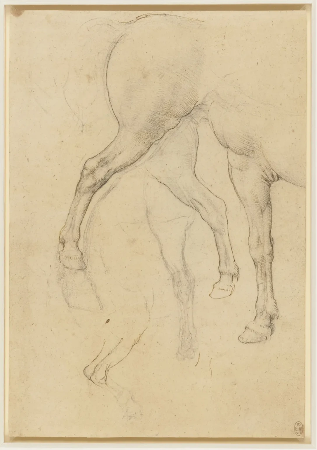 Études de cheval, Léonard de Vinci
